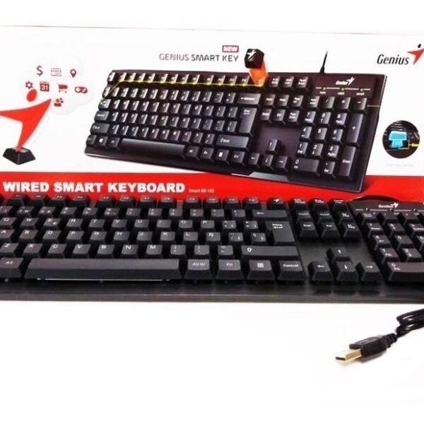 Teclado GENIUS KB-102 USB